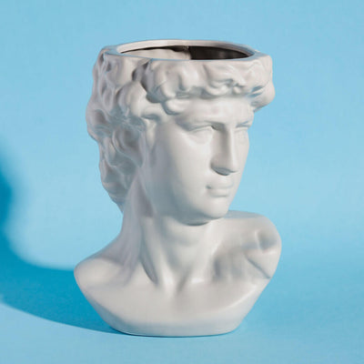 Grey Ancient Greek style head planter with intricate facial details, perfect for indoor and outdoor botanical displays.