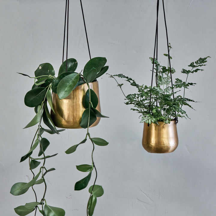 Brass Hanging Planter