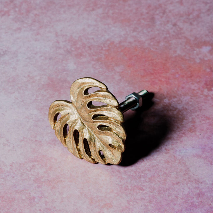 Gold Cheese Plant Leaf Drawer Knob