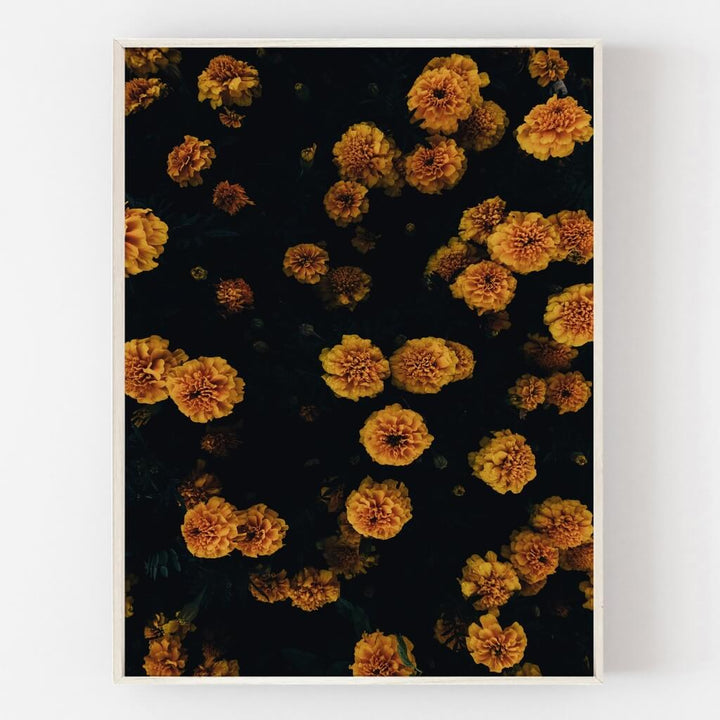 Golden Blooms Print