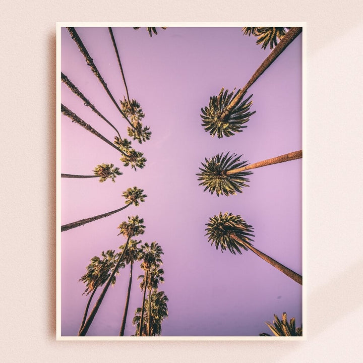 Palm Boulevard Print