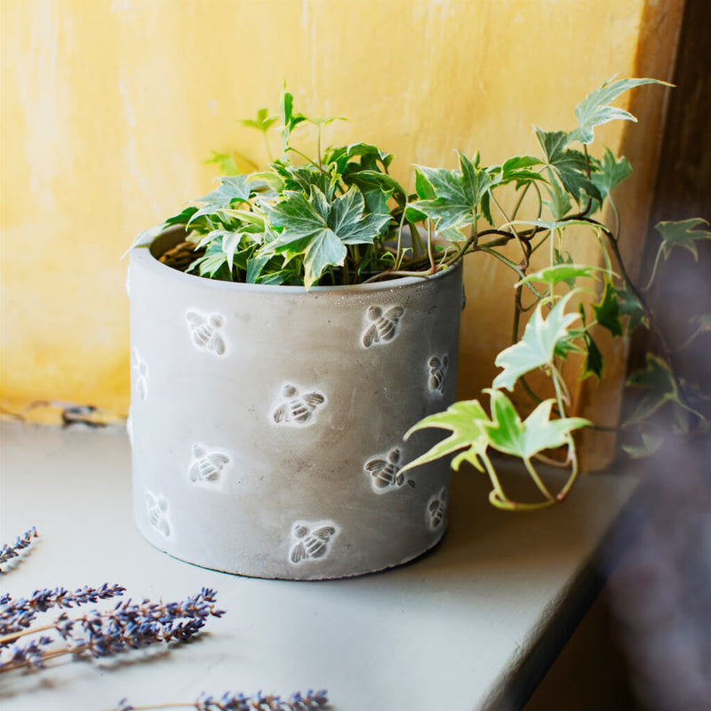 Bee Cement Planter