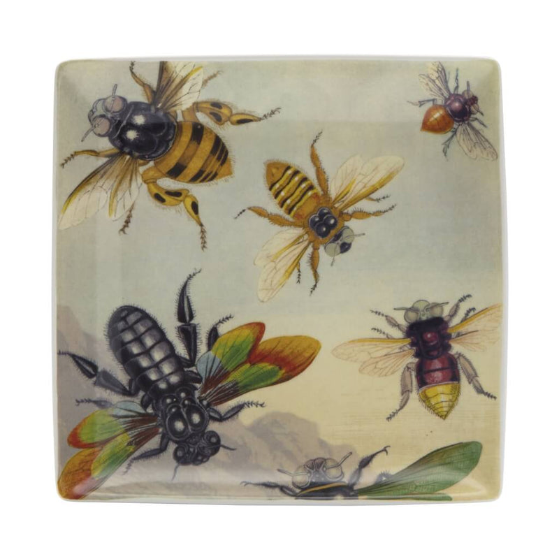 Bugs Trinket Tray