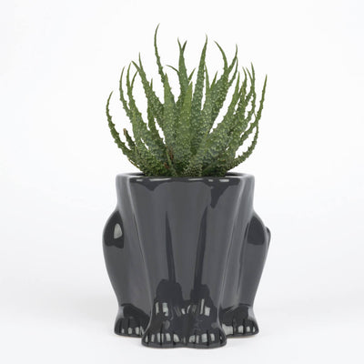 Black Panther Planter