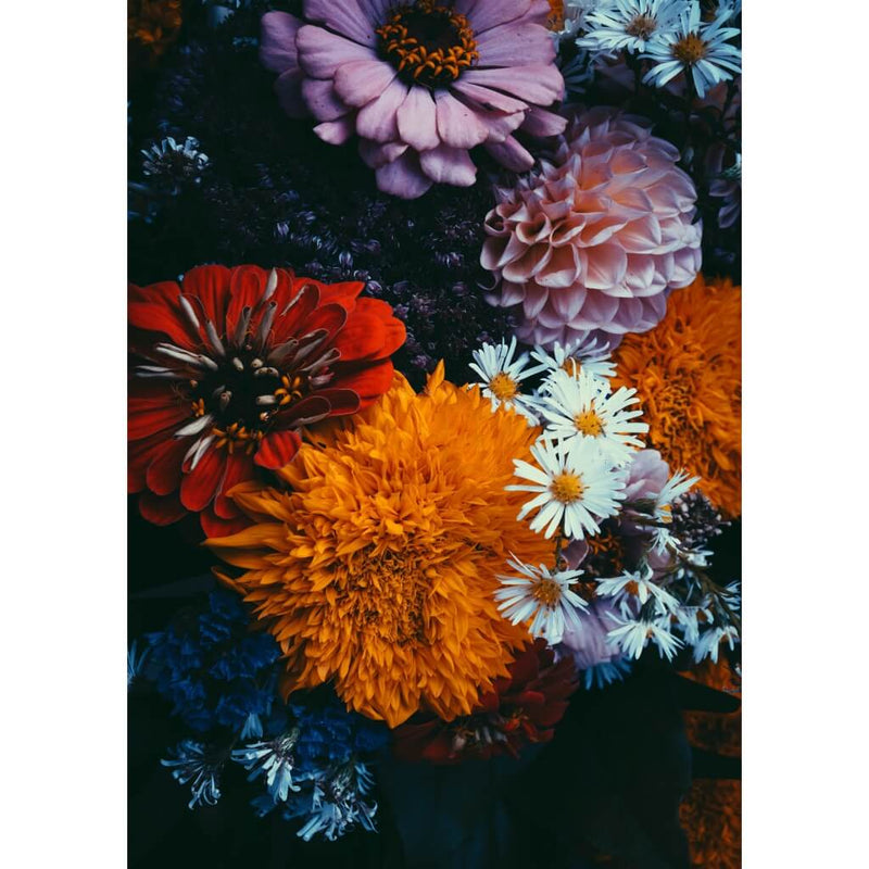 Dark Florals Poster