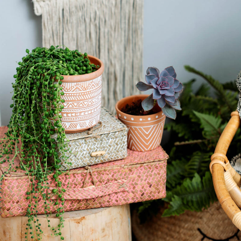 Geometric Terracotta Plant Pot
