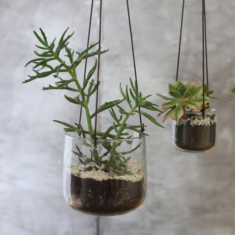 Glass Hanging Planter