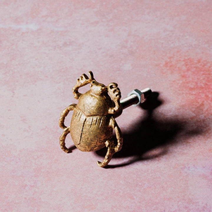 Gold Beetle Drawer Knob