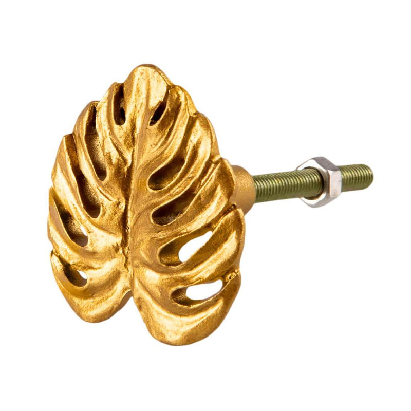 Gold Drawer Knob Cheese Plant Leaf