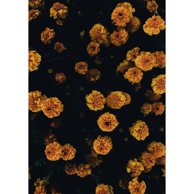Golden Florals Print