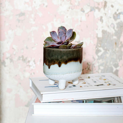 Mini Green Glaze Planter on Legs