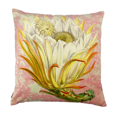 Pink Protea Velvet Cushion