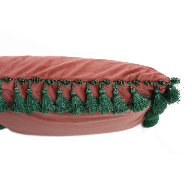 Pink Velvet Beetle Cushion Tassels