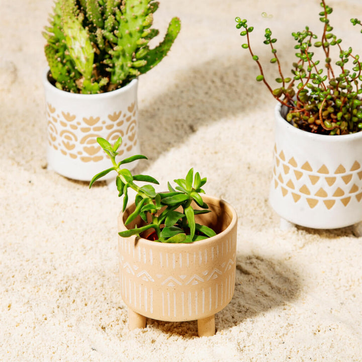 pots with legs for plants Sandy Speckled Planter with Legs
