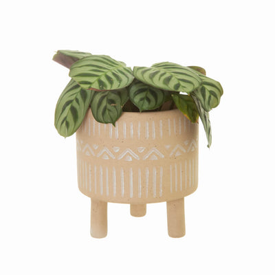 Sandy Planter with Legs