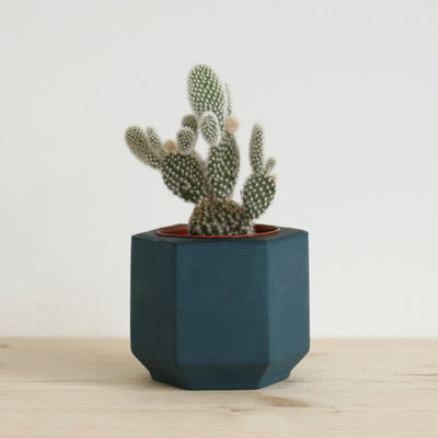 Small Handmade Blue Succulent Planter