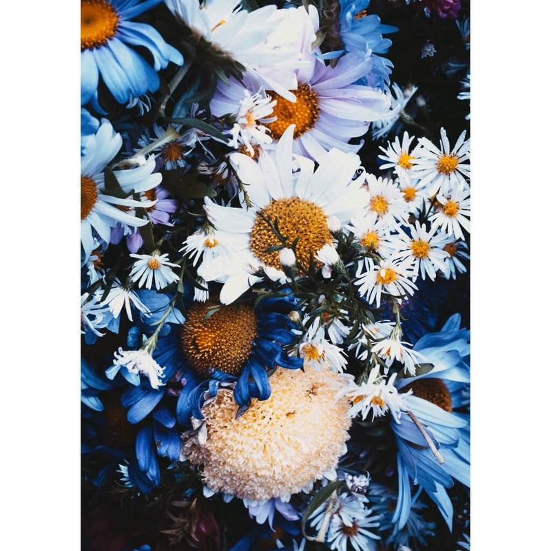Spring Florals Poster