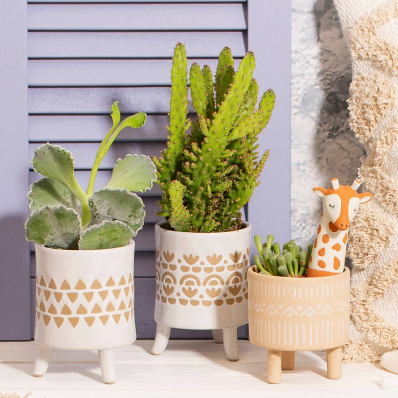 Stoneware Planter with Legs